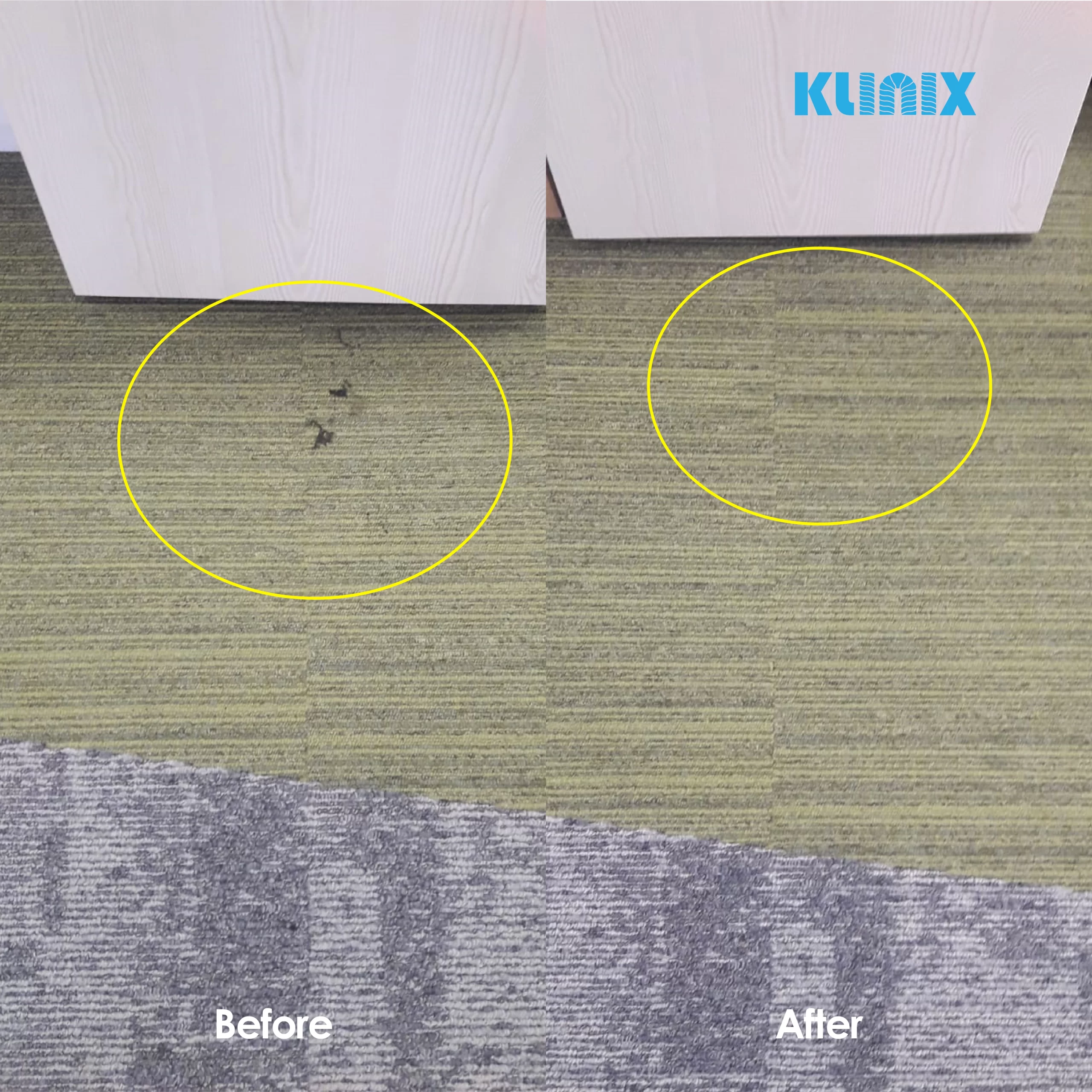 Before After Carpet Cleaning-04