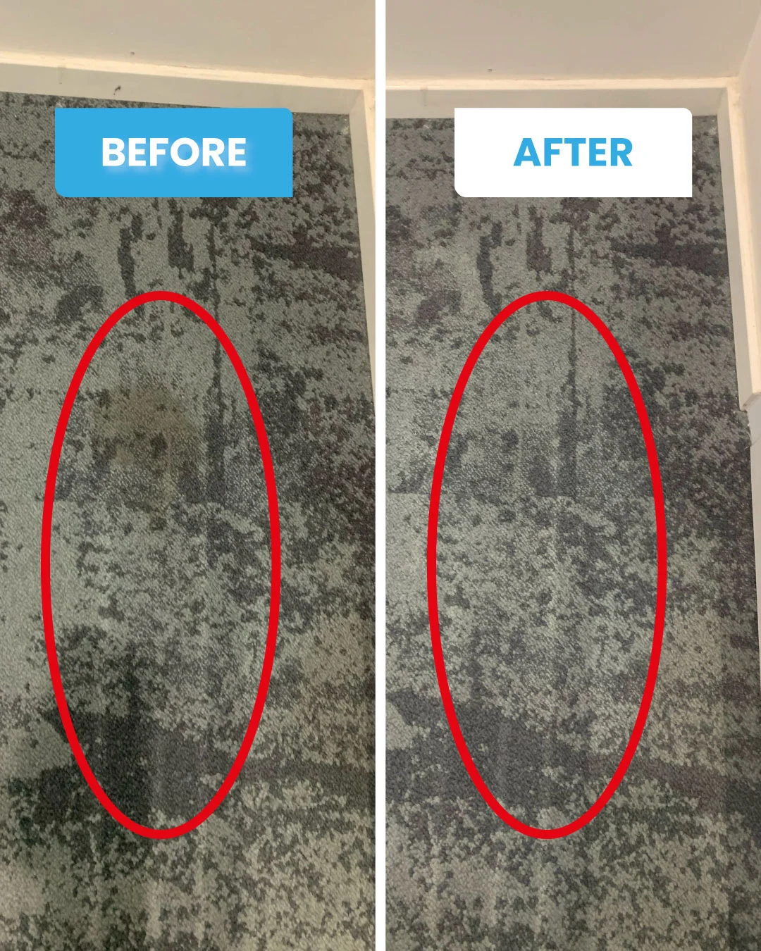 Galeri Cuci Karpet Klinix1