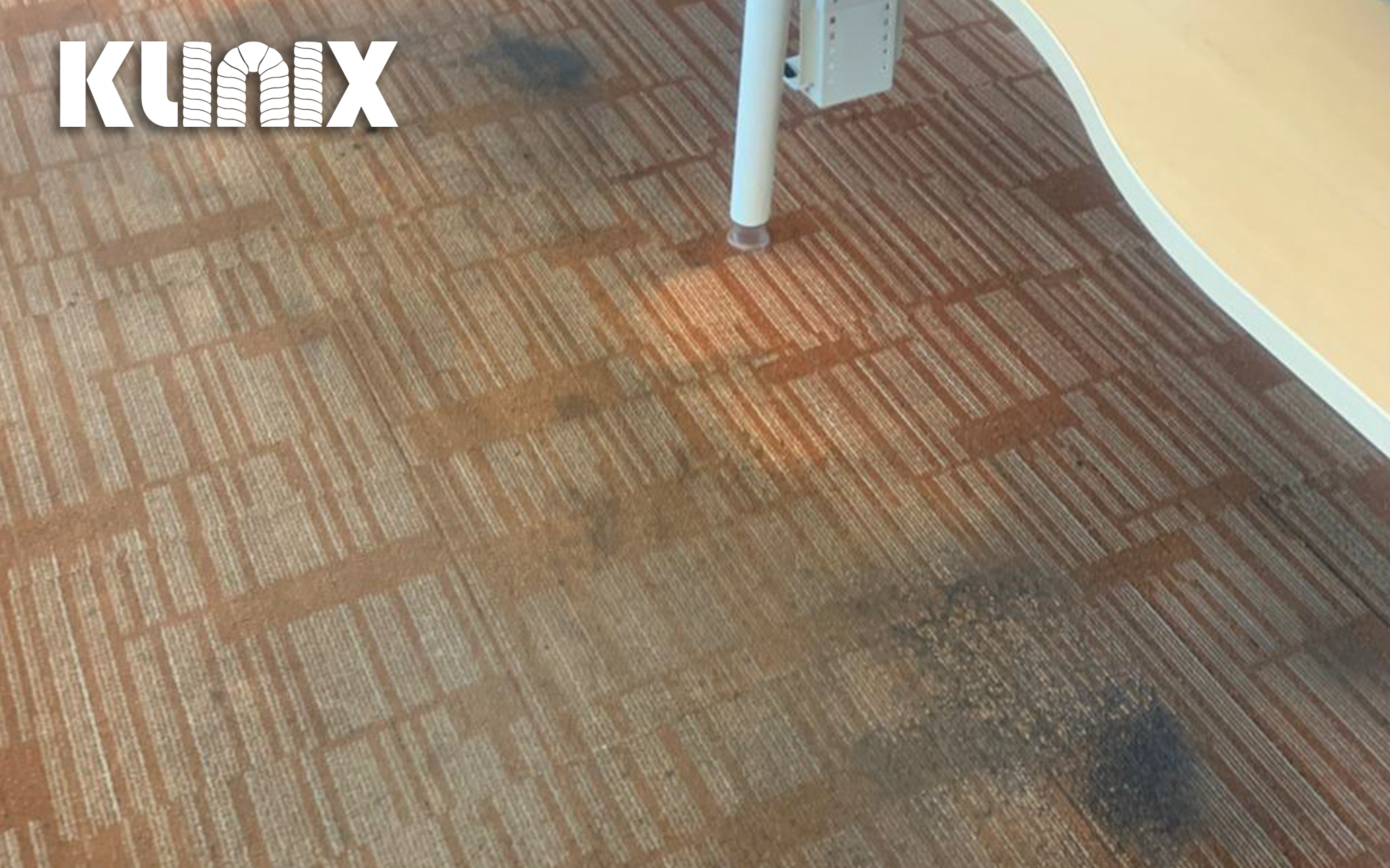 jasa pembersih karpet kantor