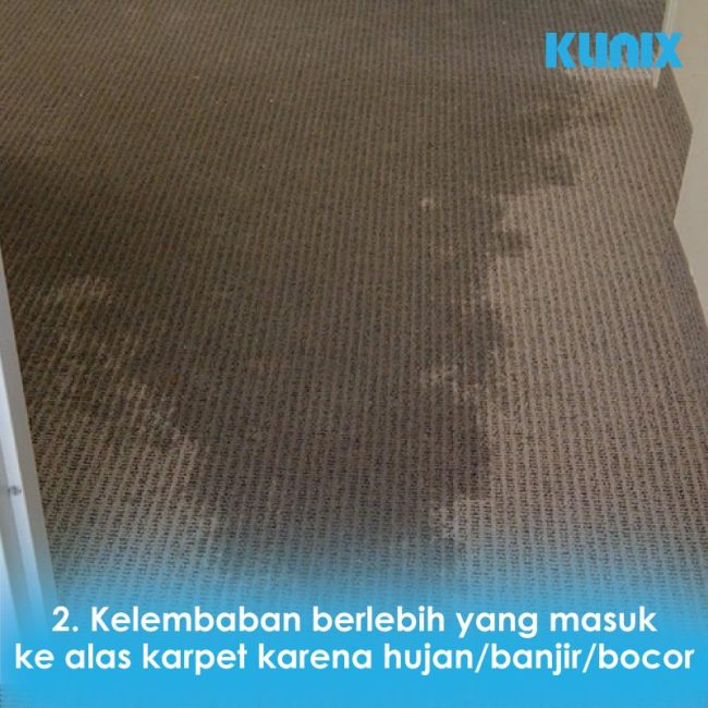 Penyebab Bau Karpet