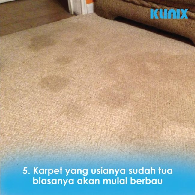 Penyebab Bau Karpet